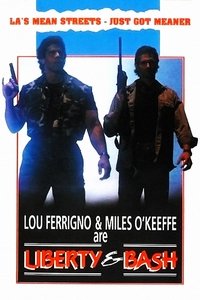Poster 1