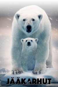 Poster 12