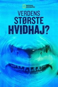 Poster 9
