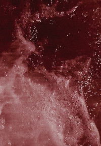 Poster for Maré Terra