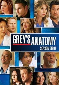 Greys Anatomy Season 8 poster