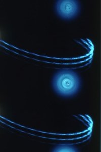 Pasteur 3