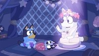 Tornado y el viejo perro lobo sabio