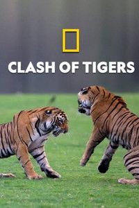 Poster for Clash of Tigers