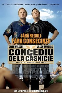 Poster 12