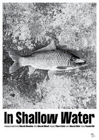 Poster for In Shallow Water