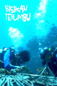 Bisikan Terumbu