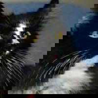 drystyx's profile image