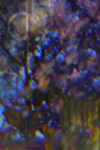 Poster for Wait Wait Spring