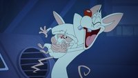 Episodio 41