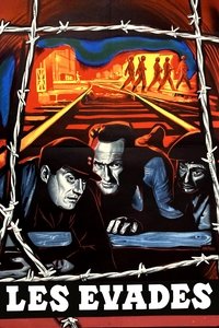 Poster 6