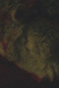 Poster for The Melody of Decomposition