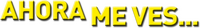 Logo 21