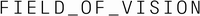 Logo - Field of Vision