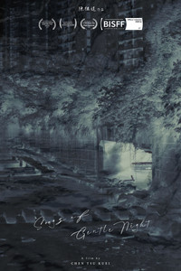 Poster for Songs of Gentle Night