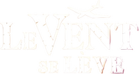Logo 20