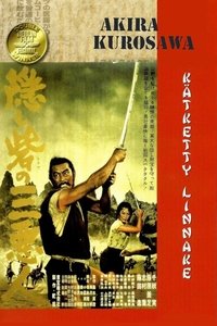 Poster 20