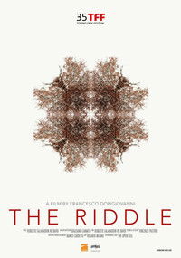 Poster for The Riddle