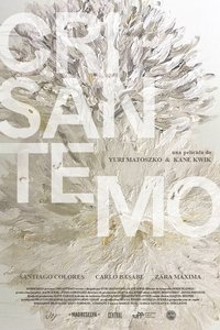 Crisantemo