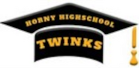 logo for Horny Highschool Twinks (Orrange Media Group)