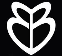 Michael Bruckman's profile image