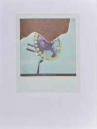 Poster for Jesse Darling's Site Visit - A Road Trip Movie