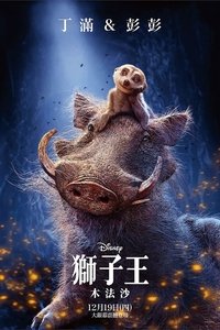 Poster 211