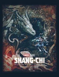 Poster 335