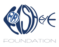 logo for Fish Eye Art Cultural Foundation