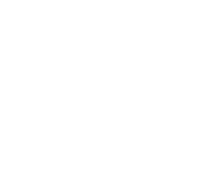 Logo 51