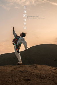 Poster for Tamayo