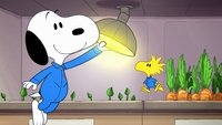 Misión 5: El jardín espacial