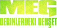 Logo 13