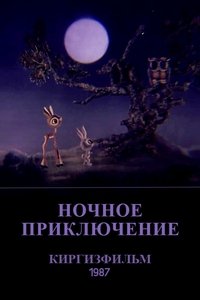 Poster for The Nighttime Adventure