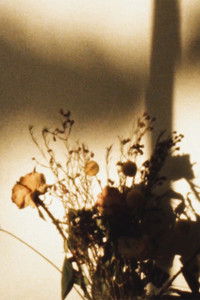 Poster for that what moves: a limber wanderer