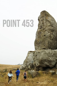 Poster for Point 453
