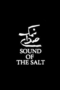 Sound of the Salt