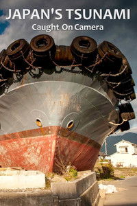 Poster for Japan's Tsunami: Caught on Camera