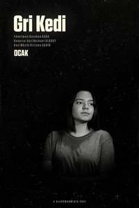 Poster for Gri Kedi