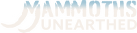 Logo 0