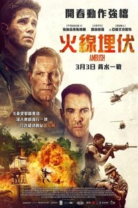 Poster 13