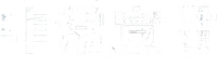 Logo 11