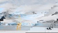 Backdrop 0