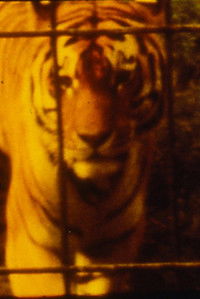 Poster for You would make a good lawyer