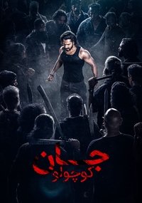 Poster 16