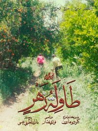 Poster for Backgammon