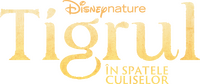 Logo 16
