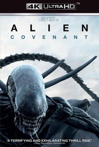 Poster 145