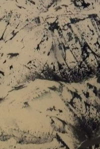 Poster for We Thought It Was Tanderrum