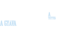 Logo 7
